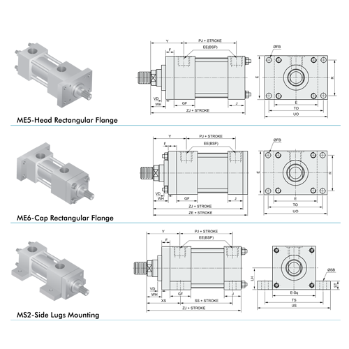 flange-and-side-lugs-mountings